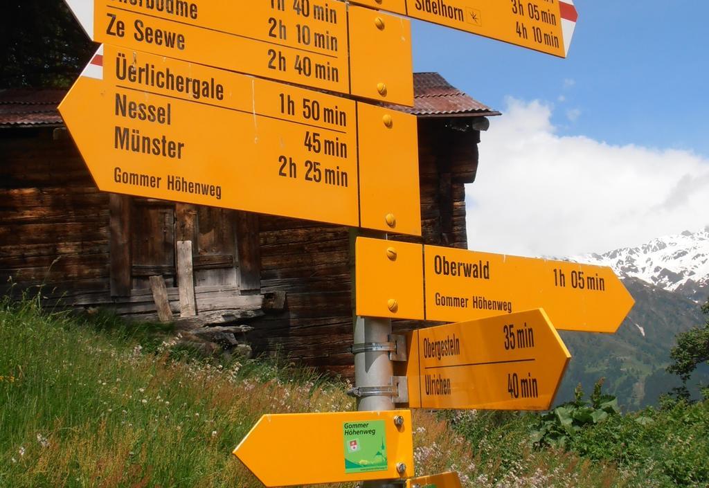 Hotel Grimsel Obergesteln Exterior foto
